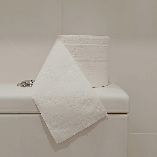 White toilet paper to illustrate how to remove stubborn stains from fabrics like blood, sweat, vomit and urine 